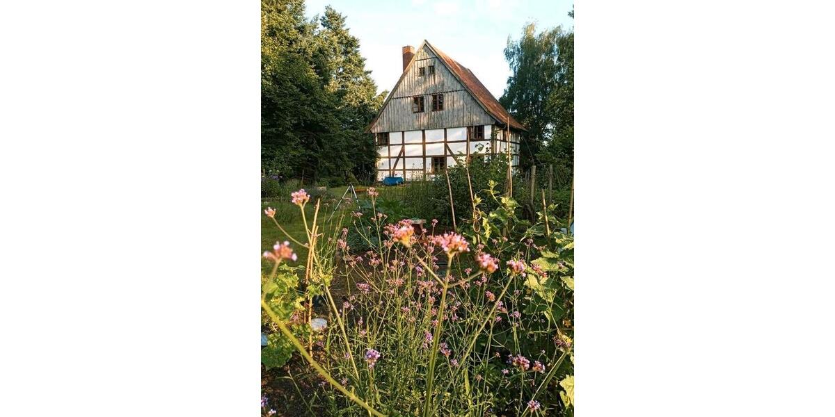 Einfamilienhaus Landesbergen - 5 Zimmer, 228 m&sup2;, 460.000&euro; | Angebot:26104336
