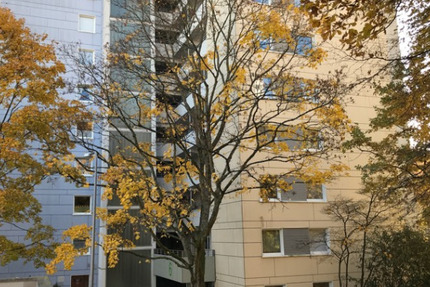 Wohnung Wiesbaden Klarenthal - 3 Zimmer, 70 m&sup2;, 732&euro; | Angebot:26659233