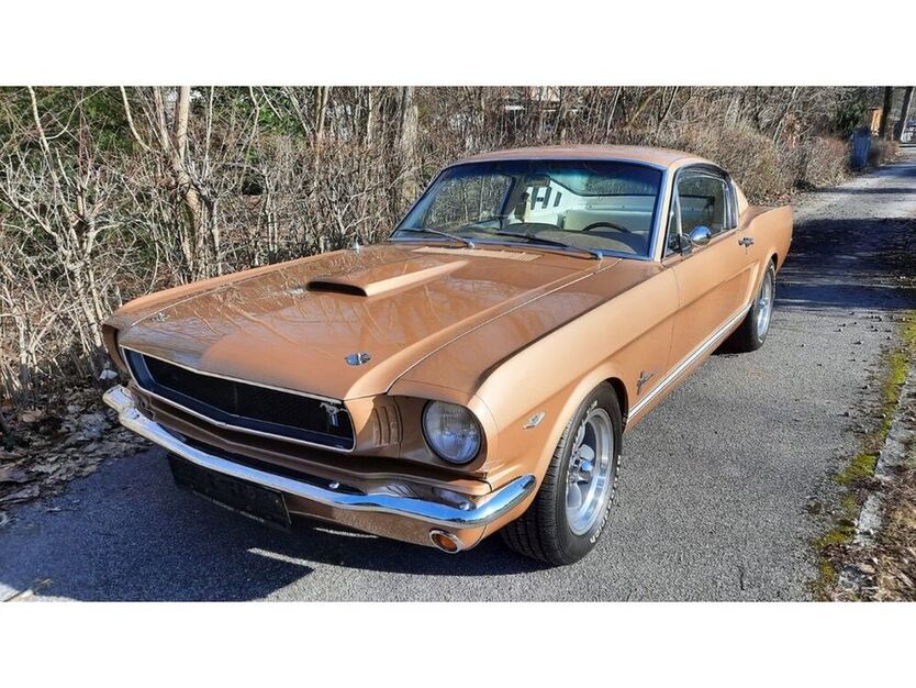 Mustang
