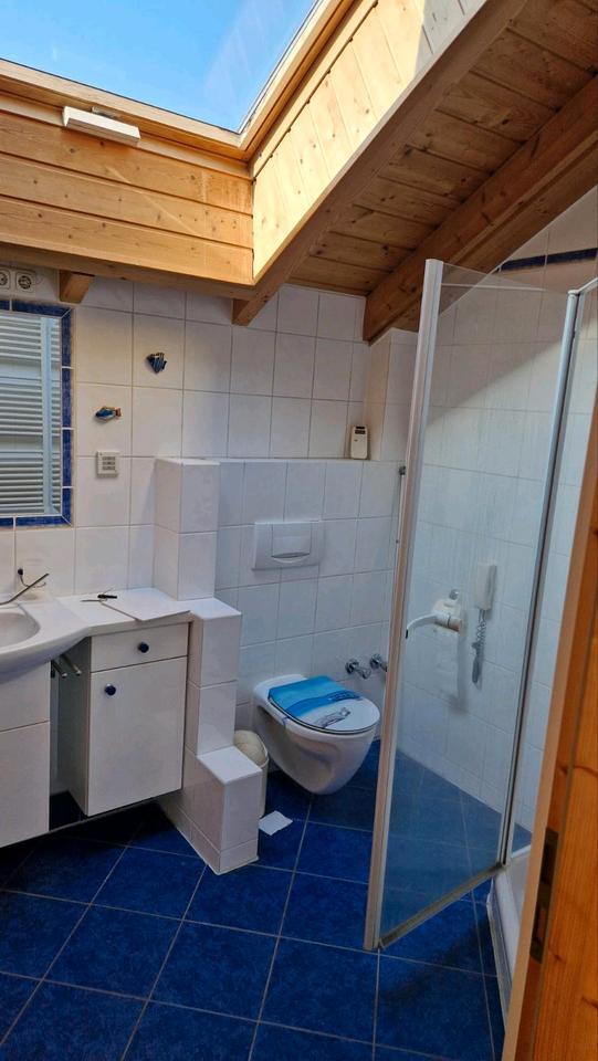 Wohnung zu vermieten zimmer