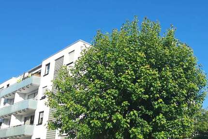 Wohnung Heusenstamm - 1 Zimmer, 38 m&sup2;, 540&euro; | Angebot:24742012