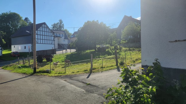 Bauernhof mit Stallungen und Ponys - Einfamilienhaus Bad Berleburg | Angebot:26996073