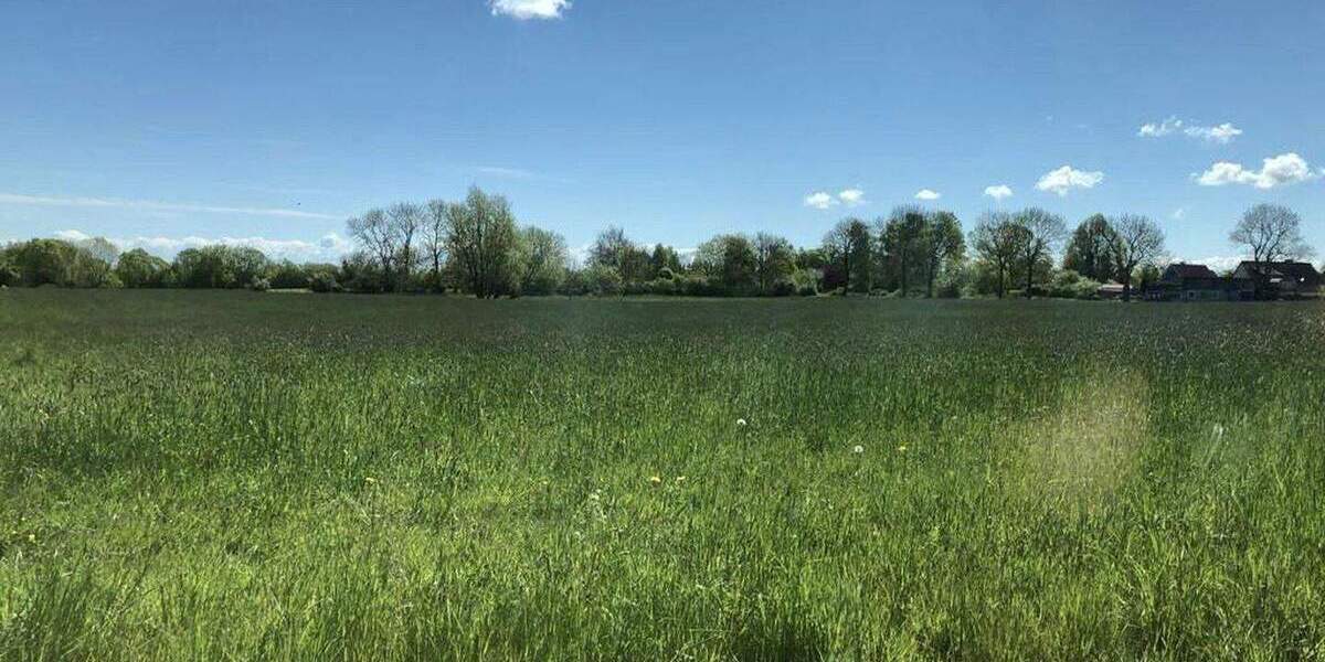 Einfamilienhaus Grammdorf Grammdorf - 7 Zimmer, 230 m&sup2;, 895.000&euro; | Angebot:25659153