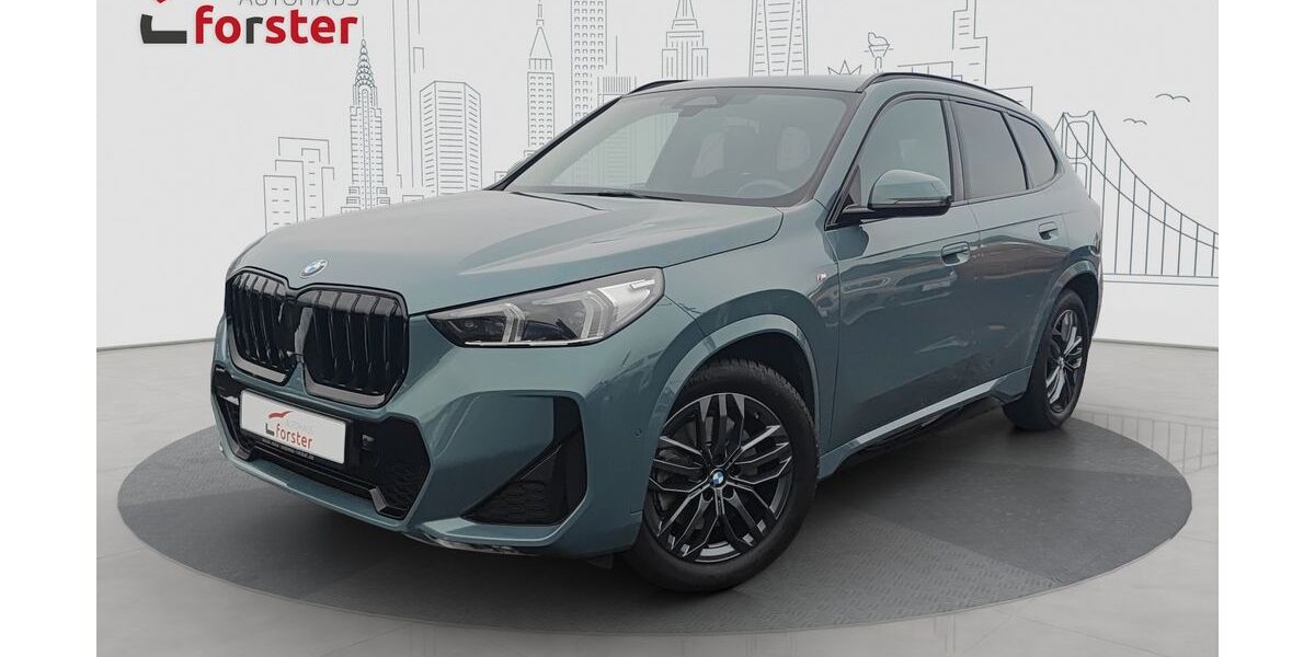 BMW X1 44.800 km 43.990 &euro; Altenstadt 92665