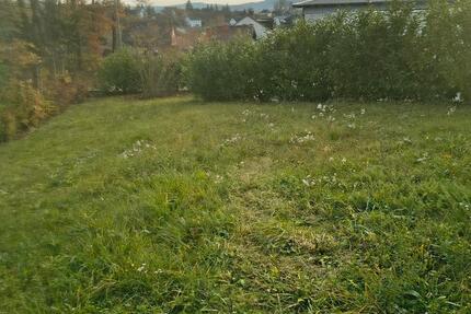 Wohnung in Burgkunstadt ruhige Lage Erdgeschoss mit Garten zimmer