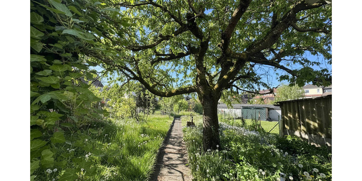 Einfamilienhaus Bensheim - 1 Zimmer, 170 m&sup2;, 469.000&euro; | Angebot:26345651