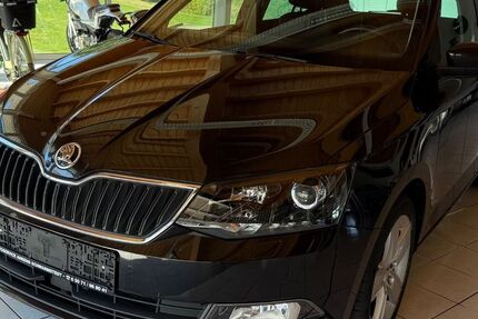 Skoda Fabia 96.000 km 8.990 &euro; Schwarmstedt 29690