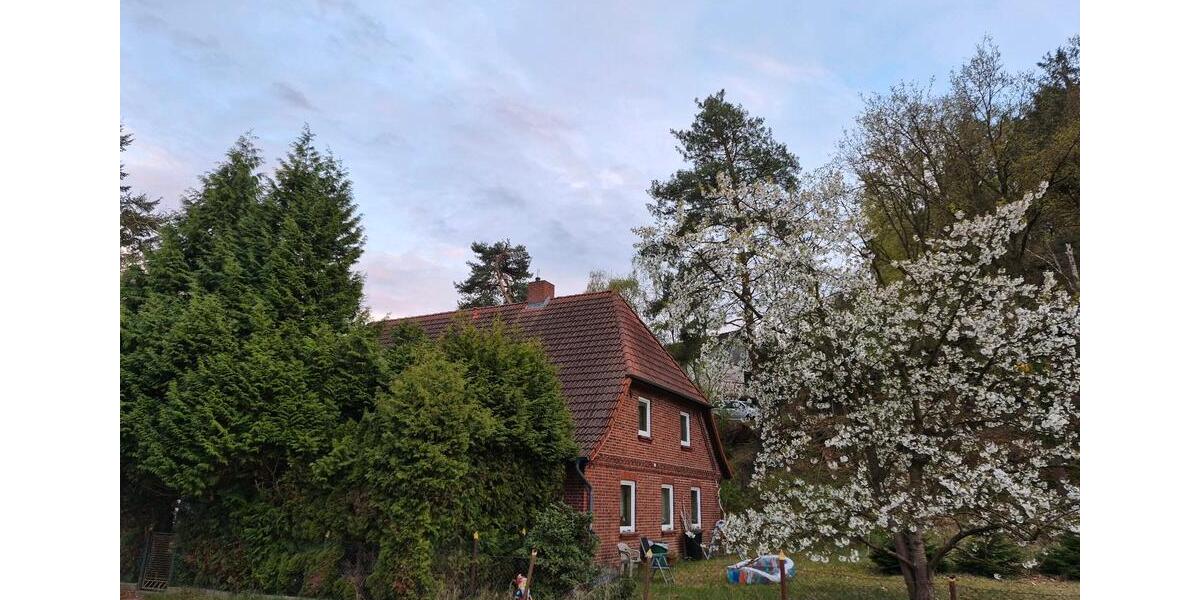 Mehrfamilienhaus, Wohnhaus Neu Darchau - 8 Zimmer, 186 m&sup2;, 295.000&euro; | Angebot:26695041