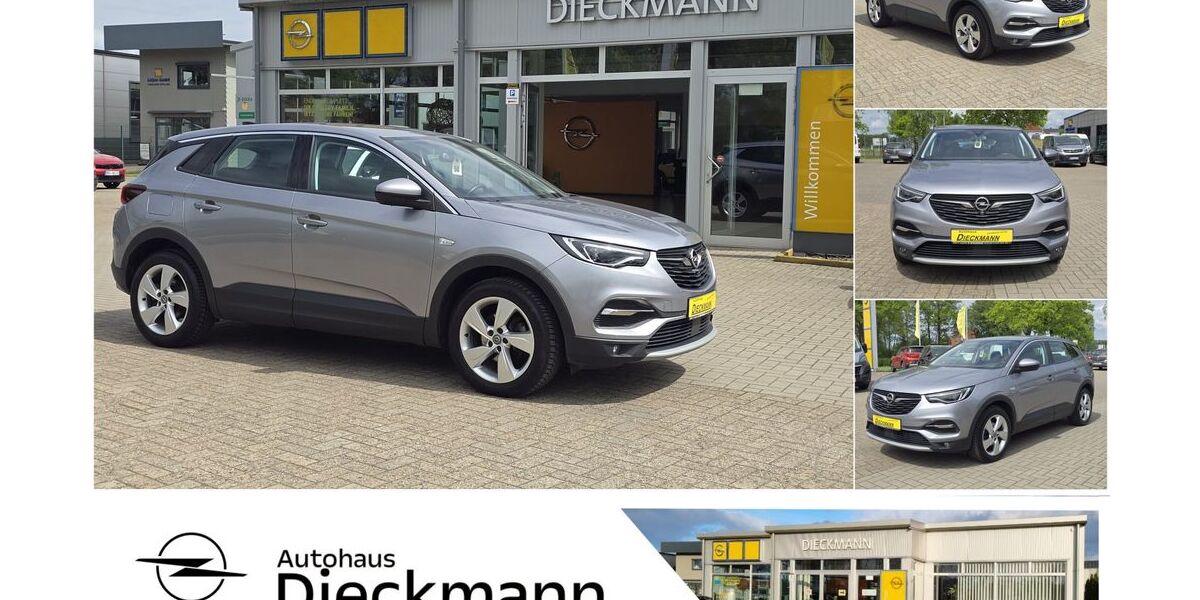 Opel Grandland (X) 53.588 km 21.865 &euro; Worpswede 27726