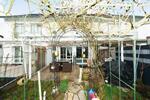 Gepflegtes Reihenmittelhaus in bevorzugter Lage und ruhiger Umgebung - Reihenmittelhaus Nürnberg 10809564000 | Angebot:25806883
