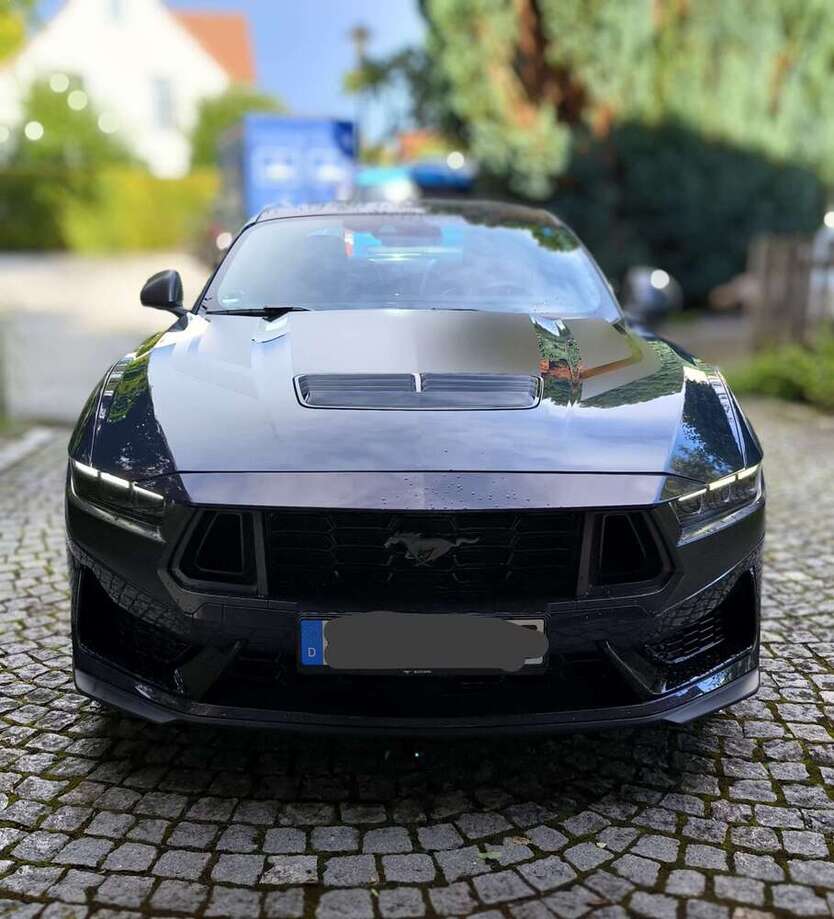 Mustang