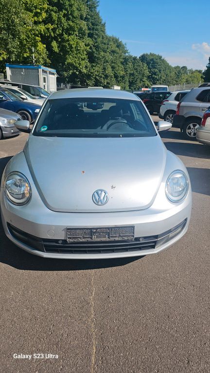 Beetle