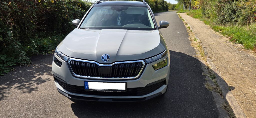 Skoda Kamiq 56.900 km 23.499 € Mertesheim 67271