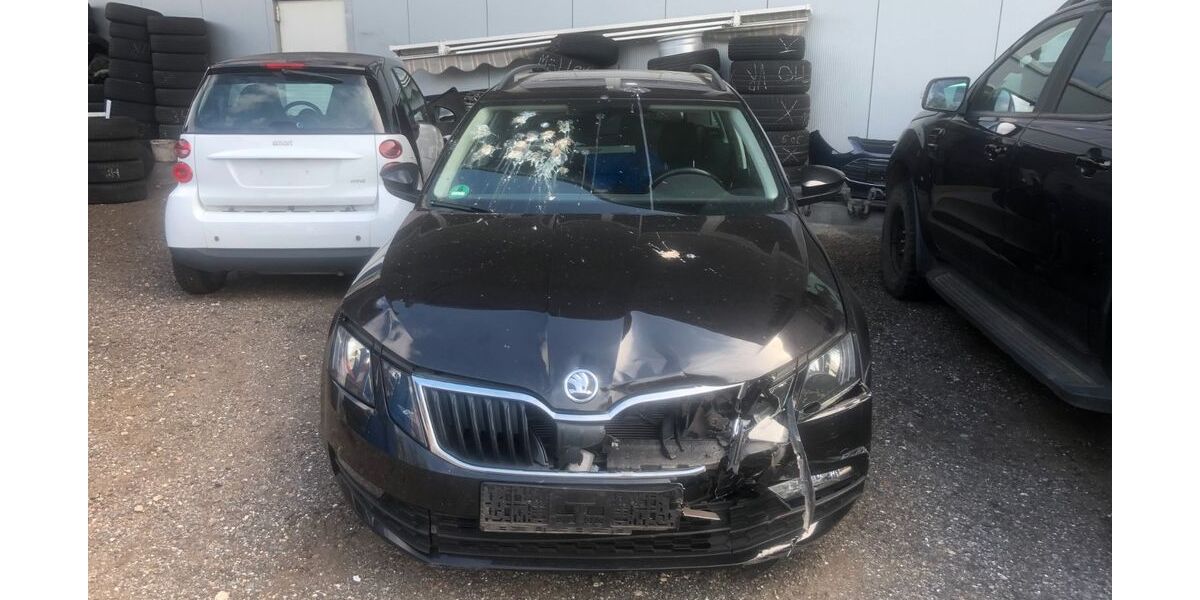 Skoda Octavia 137.896 km 4.670 &euro; Henstedt-Ulzburg­­­ 24558