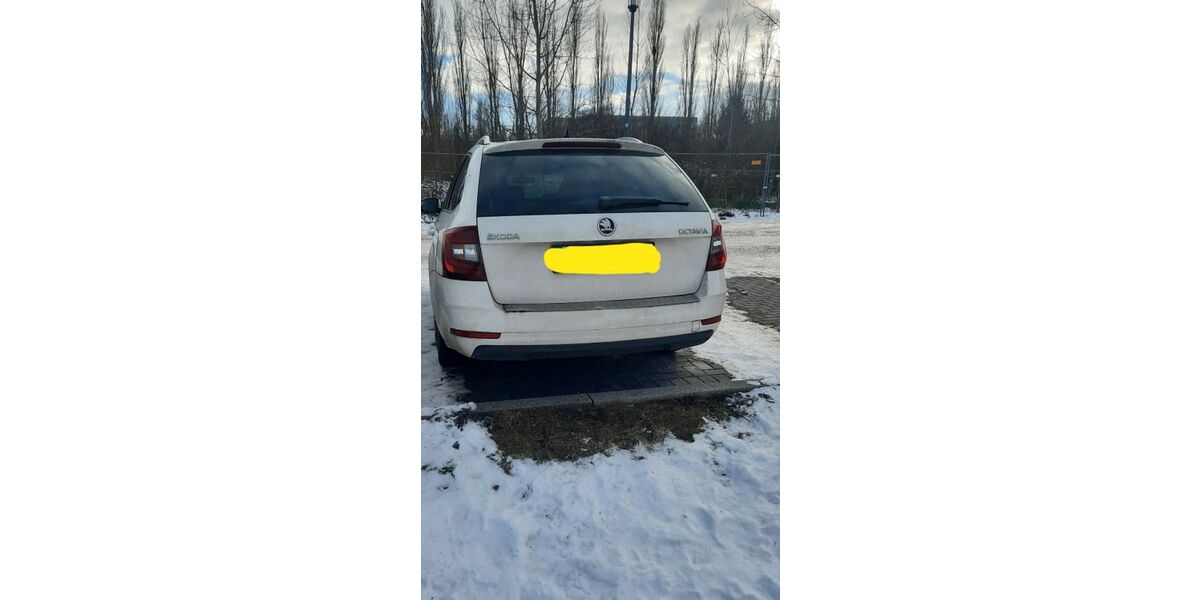 Skoda Octavia 246.903 km 10.100 &euro; Berlin 13057