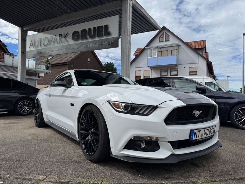 Mustang