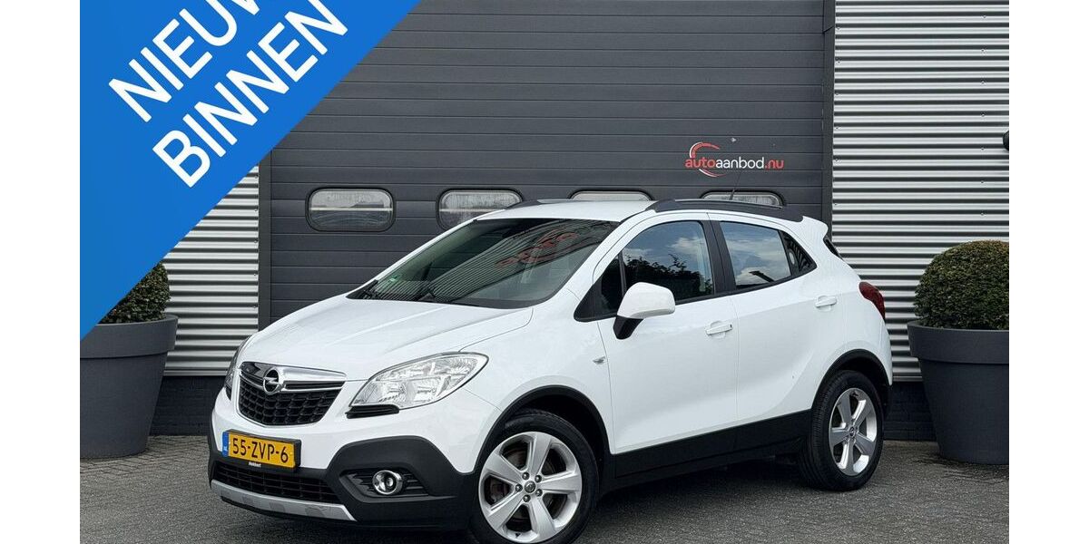 Opel Mokka 133.906 km 7.238 &euro; Boekel 5427 