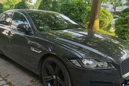 Jaguar XF 116.000 km 21.500 &euro; München 81375