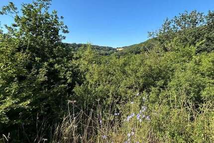 Grundstück Hahnenbach - 30.000&euro; | Angebot:21640986