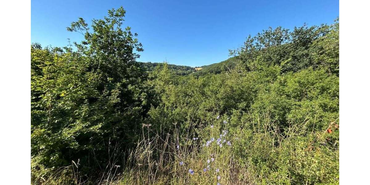 Grundstück Hahnenbach - 30.000&euro; | Angebot:21640986