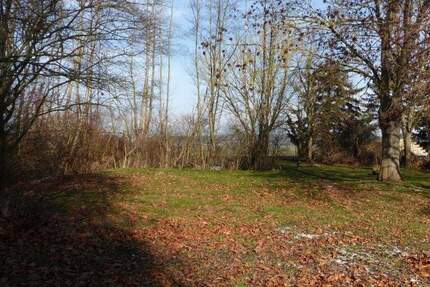 Grundstück Cavertitz OT Lampertswalde Lampertswalde - 89.000&euro; | Angebot:25210301