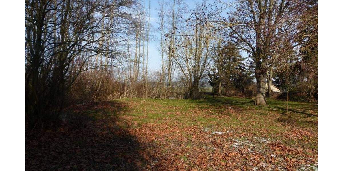 Grundstück Cavertitz OT Lampertswalde Lampertswalde - 89.000&euro; | Angebot:25210301