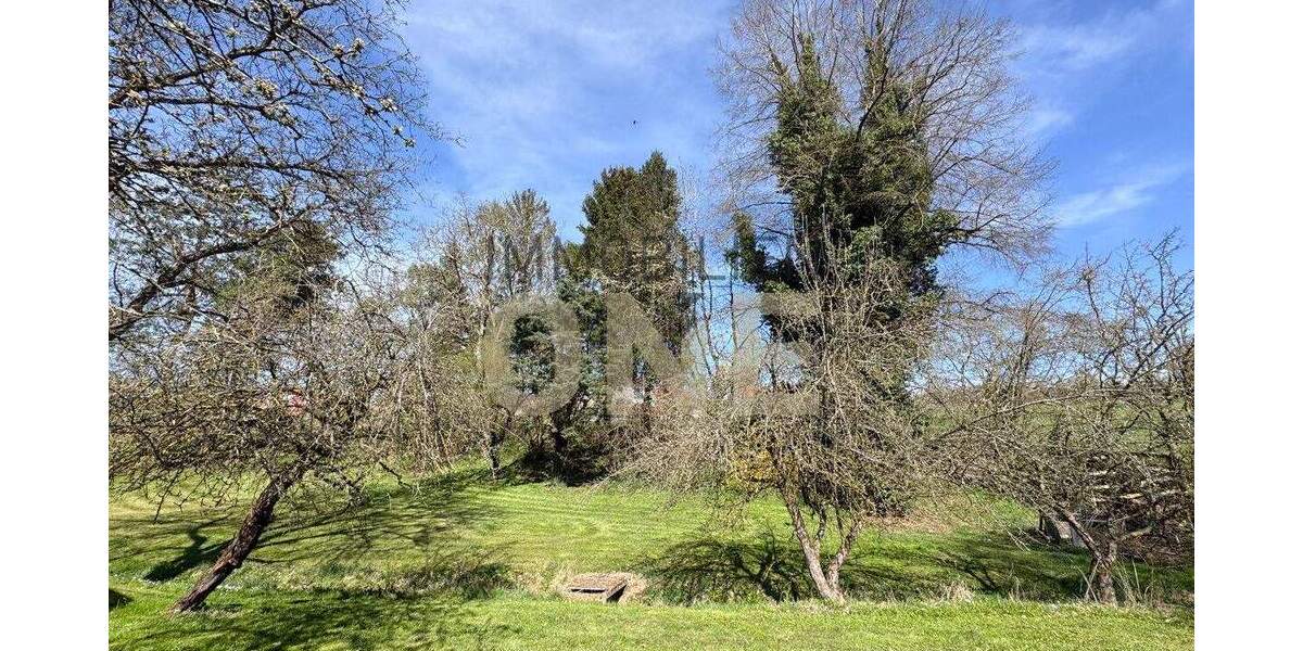 Grundstück Bernhardswald Hackenberg - 180.000&euro; | Angebot:25689786