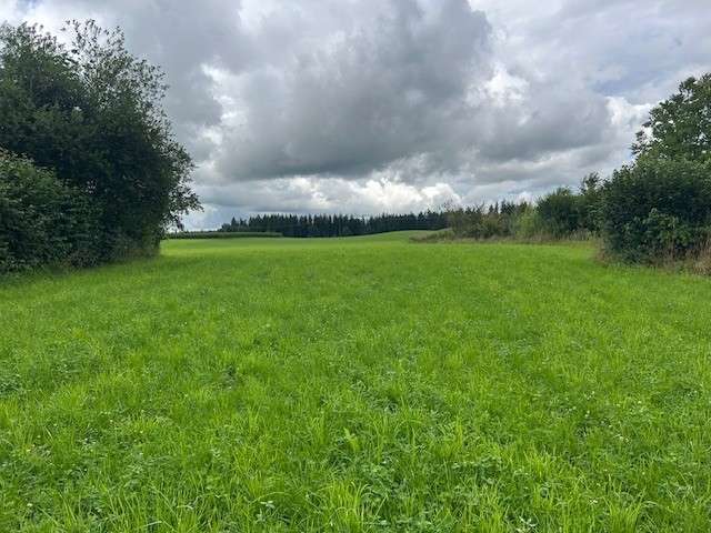 Grundstück zu verkaufen in Eggstätt 585.000 € 751 m²