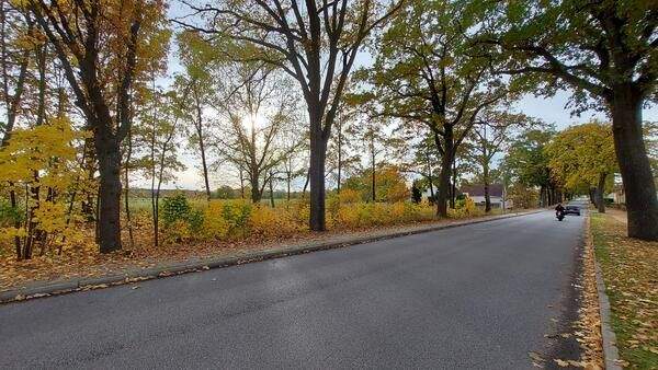 Grundstück Rüdersdorf Herzfelde - 169.000&euro; | Angebot:25750108