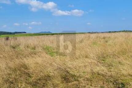 IHR WEG ZUM EIGENHEIM IN IDYLLISCHER EIFFELLAGE - Grundstück Großlittgen | Angebot:25214062