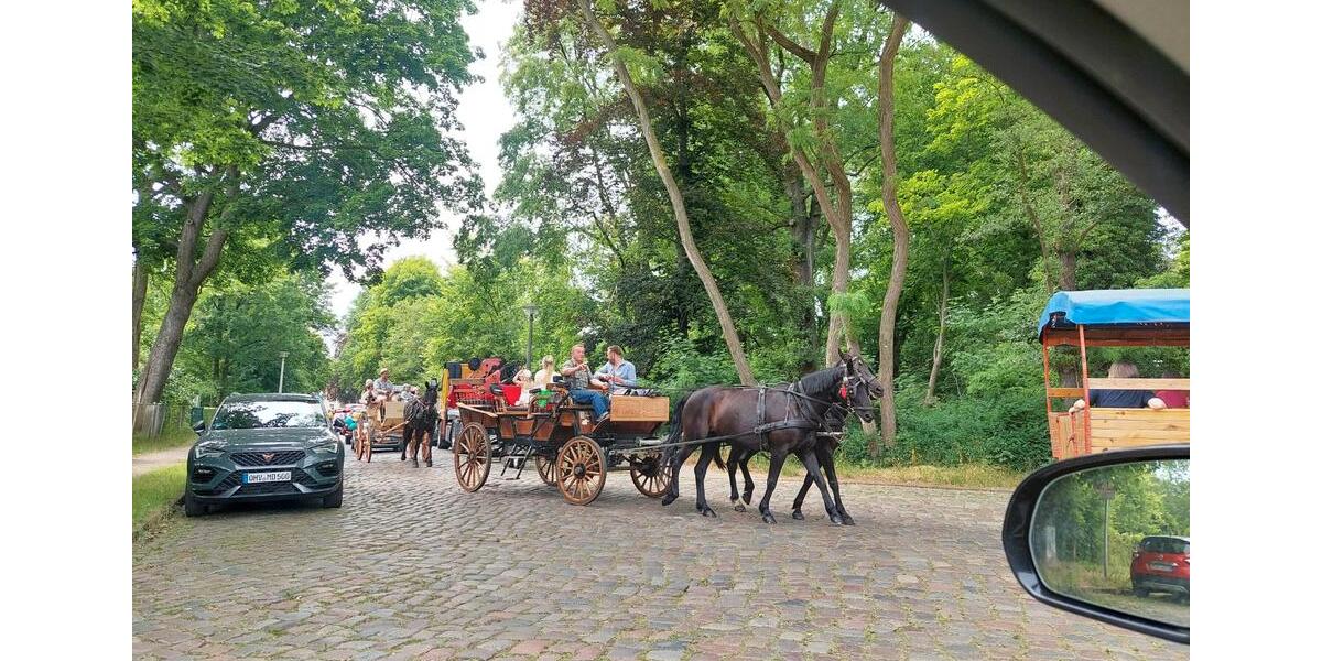 Grundstück Berlin Pankow - 1.098&euro; | Angebot:26555287