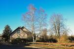 Mehrfamilienhaus, Wohnhaus Mechernich - 8 Zimmer, 230 m&sup2;, 690.000&euro; | Angebot:25903442