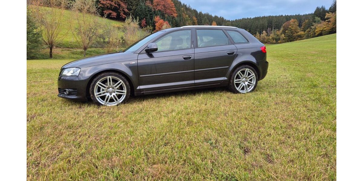 Audi A3 223.000 km 5.000 &euro; Biederbach 79215