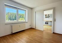 2-Zimmer SouterrainWohnung mit großem Südbalkon