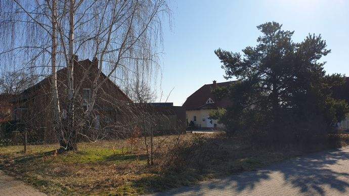 Grundstück Calau Werchow - 29.000&euro; | Angebot:26160857