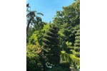 Einfamilienhaus Gangelt - 10 Zimmer, 185 m&sup2;, 1.395.000&euro; | Angebot:27182934