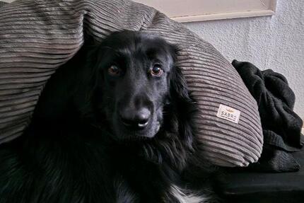 Haus Solms - 1.000&euro; | Angebot:25408299