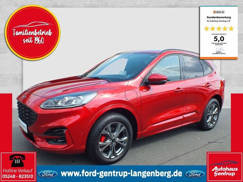 Kuga