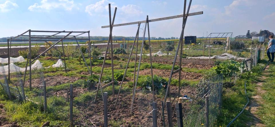 Grundstück Bornheim - 200&euro; | Angebot:26152652