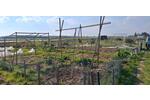 Grundstück Bornheim - 200&euro; | Angebot:26152652