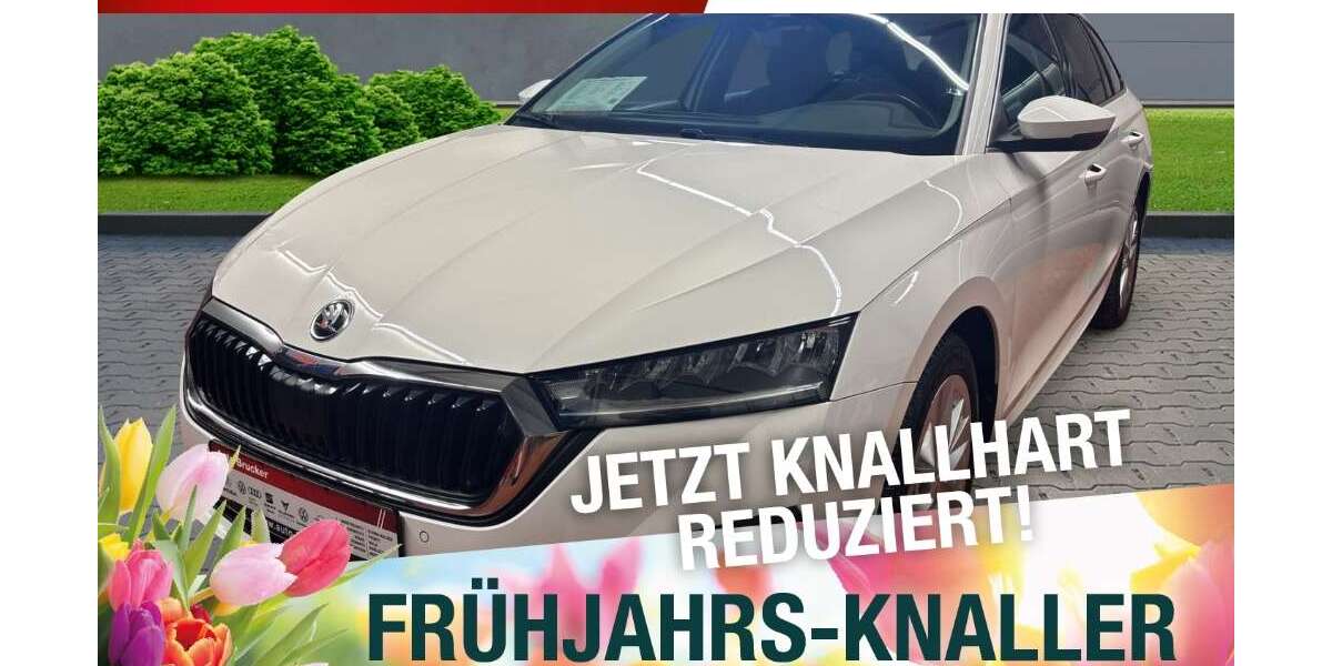 Skoda Octavia 59.860 km 19.670 &euro; Naila 95119