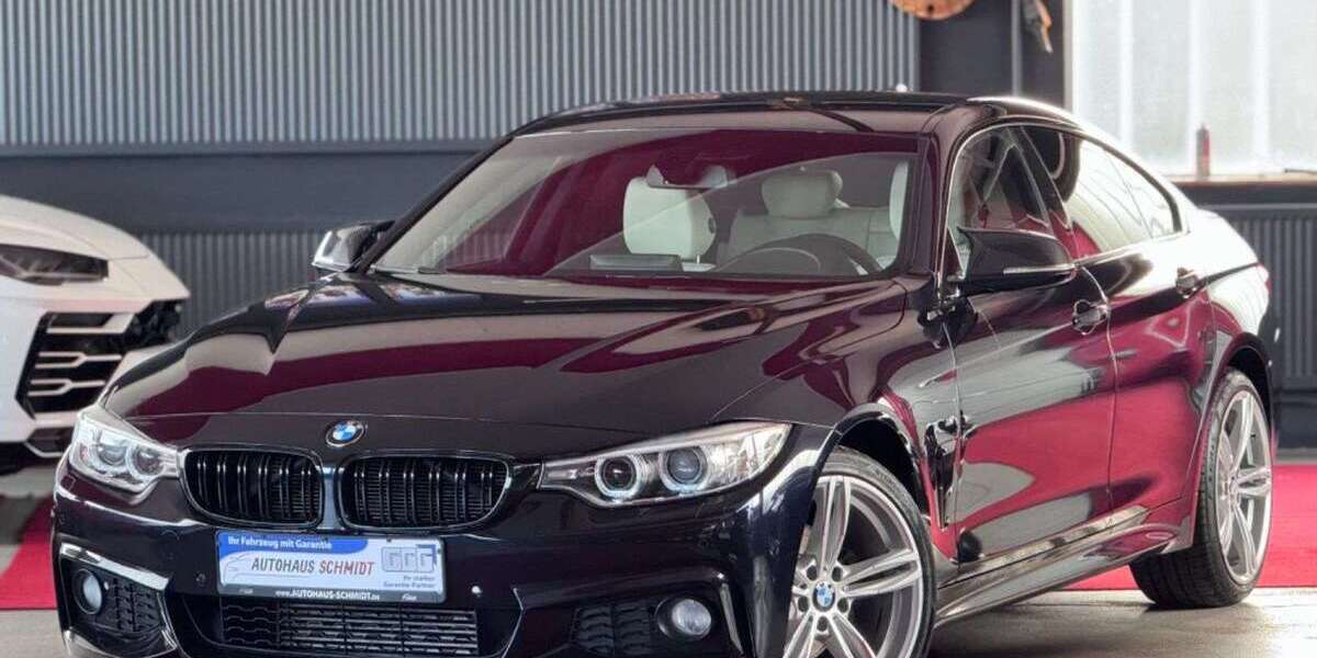 BMW 420 133.700 km 19.200 &euro; Rückholz 87494