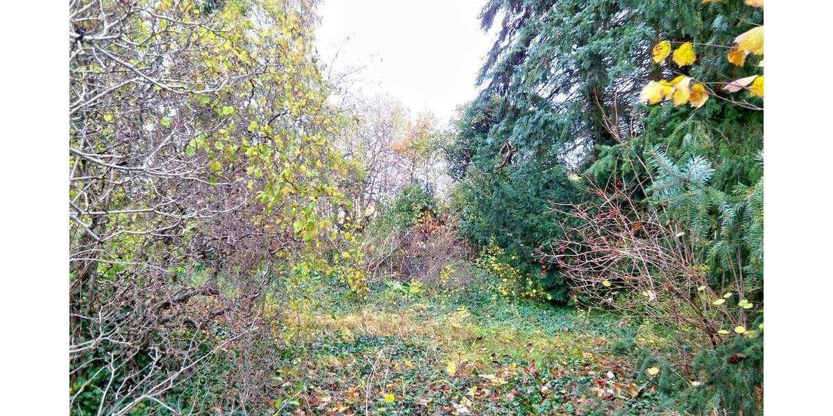 Grundstück Rietschen - 20.000&euro; | Angebot:25746002