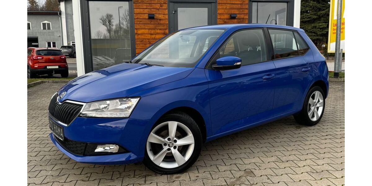 Skoda Fabia 111.900 km 9.590 &euro; Weferlingen 39356