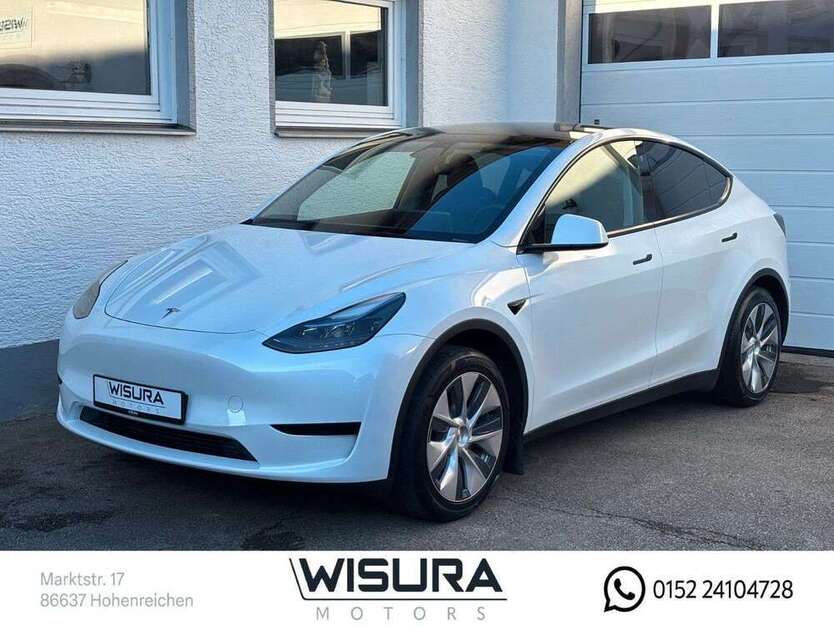 Model Y