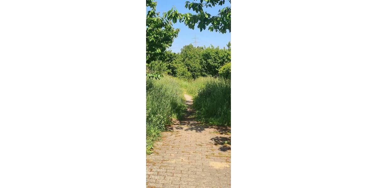 Grundstück Papendorf - 786.550&euro; | Angebot:26851315