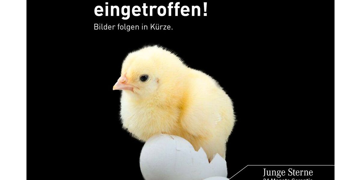 Mercedes-Benz GLC 200 11.576 km 64.990 &euro; Neu-Ulm 89231