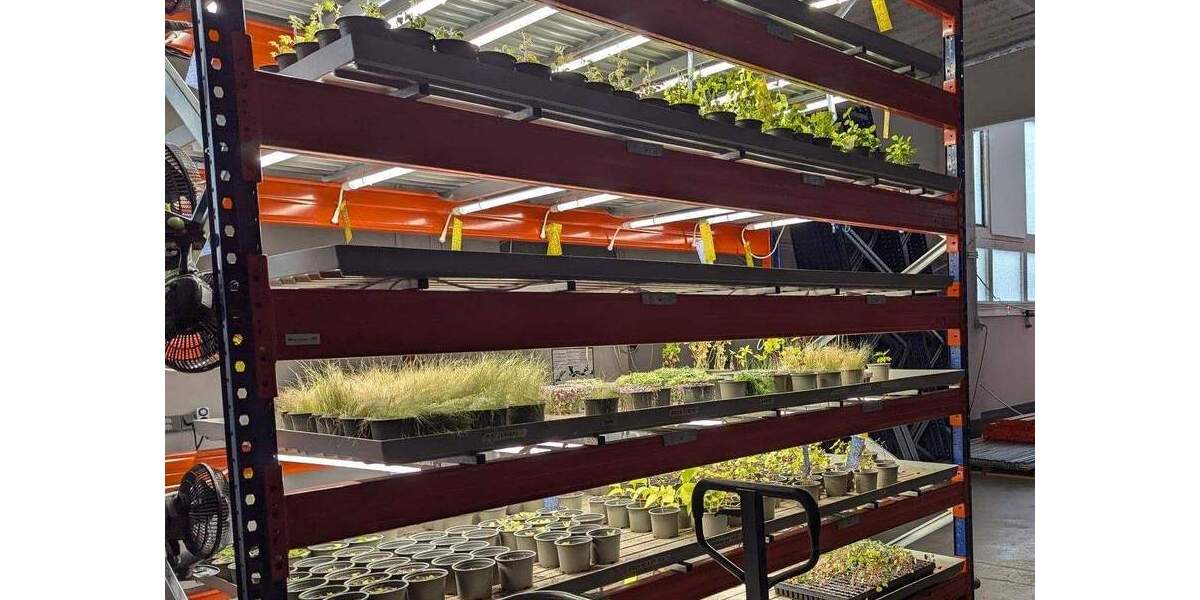 Komplett sanierte Halle inkl. Loftbüro - auch teilbar ab 200 m² zimmer