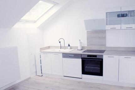 DG Wohnung Vollmöbliert in Neusatz mit EBK, Klima, Internet 2 zimmer