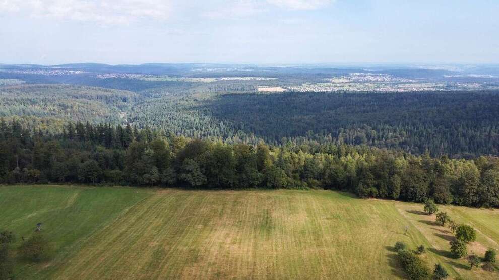 Grundstück zu verkaufen in Bad Herrenalb 120.000 € 505 m² zimmer